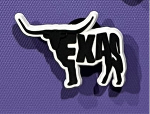 Longhorn Texas Western Charm
