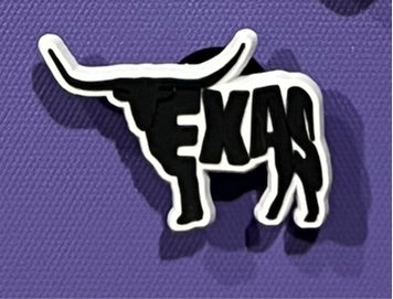 Longhorn Texas Western Charm