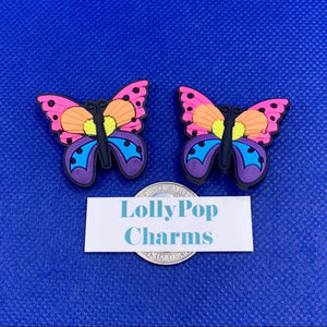 2 pc Colorful Butterfly Charm Set