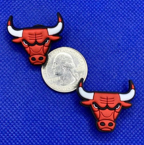 Chicago Bulls team Charm Set