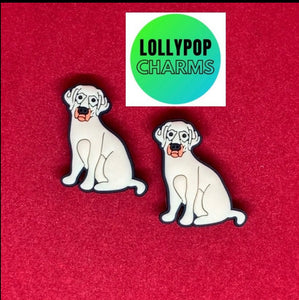 Large dog Golden Retriever  charm set