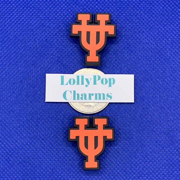 University of Texas Charm Set