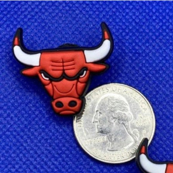 Chicago Bulls team Charm
