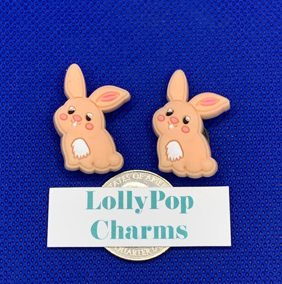 2 pc Set of Bunny Rabbit Easter  Charms