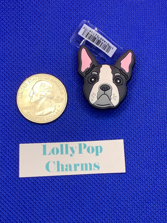 Black and White Boston Terrier dog Charm