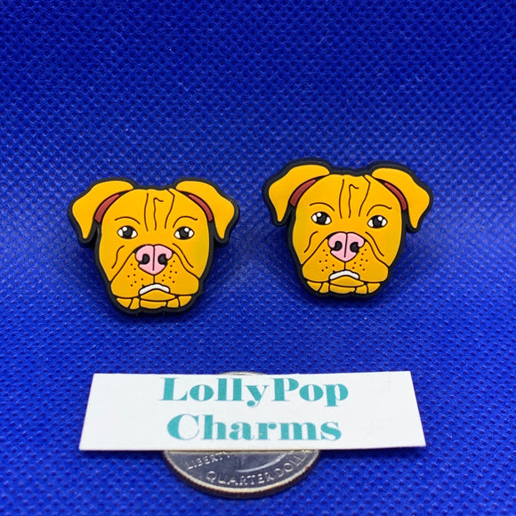 Bull Dog Charm Set