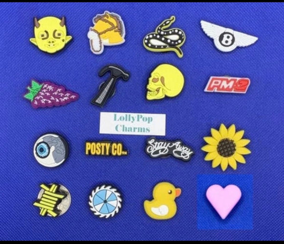 16 pc  Charm Set